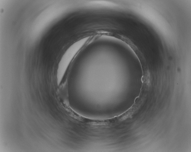 X0000084010763200703022031