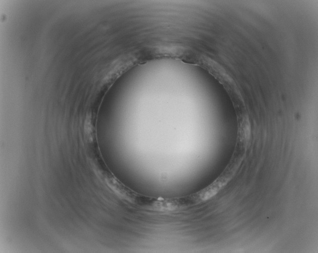 X0000084010764200703022031