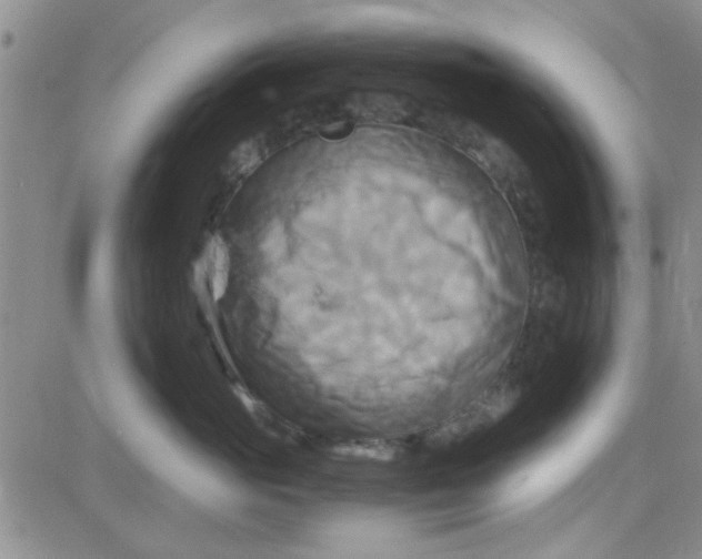 X0000084010765200703022031