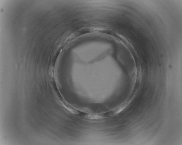 X0000084010766200703022031