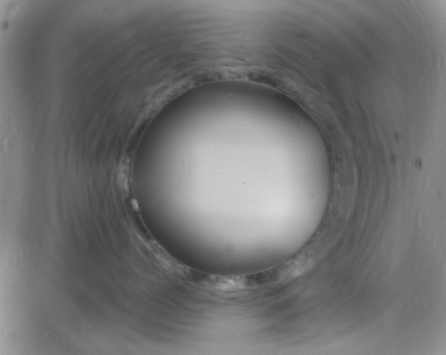 X0000084010768200703022031