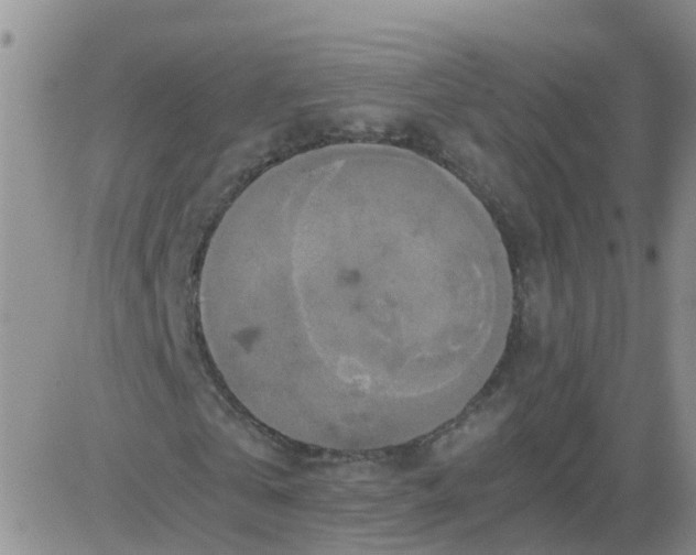 X0000084010769200703022030