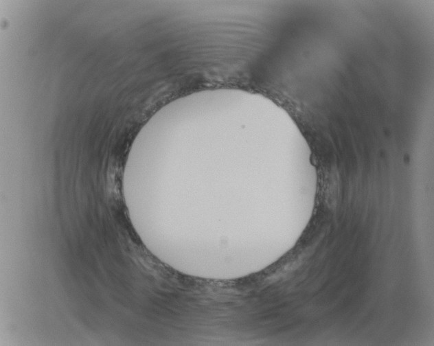 X0000084010770200703022030