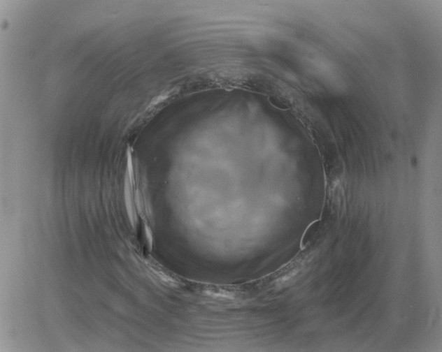 X0000084010772200703022030