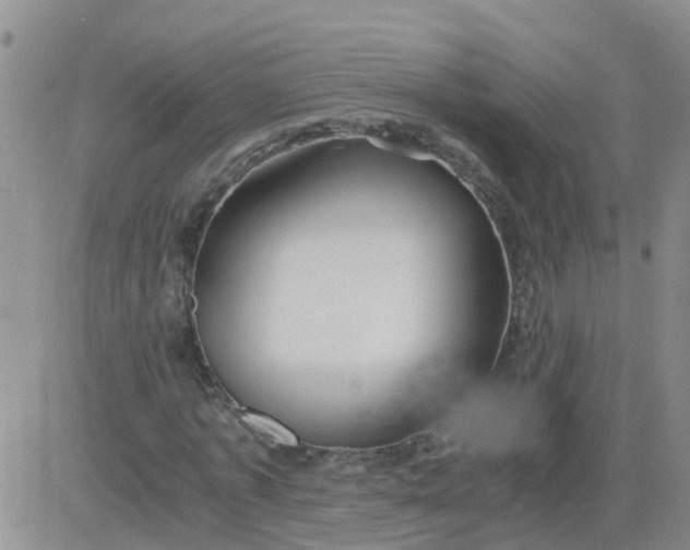 X0000084010773200703022030