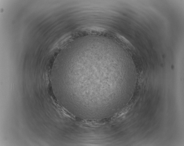 X0000084010774200703022030