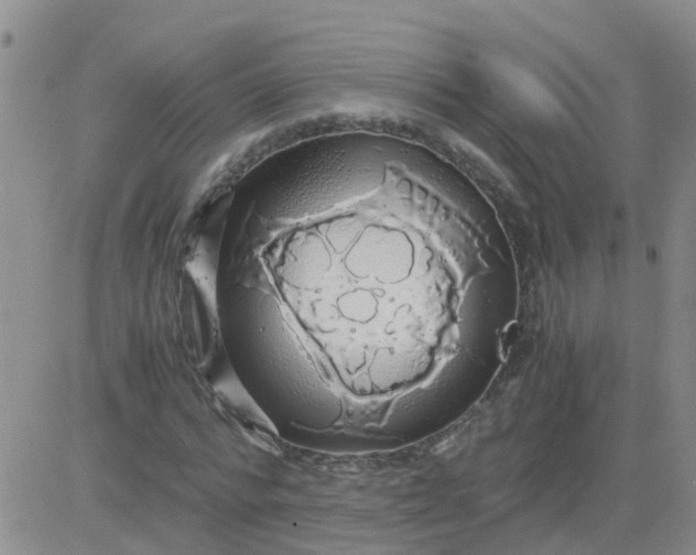 X0000084010776200703022030