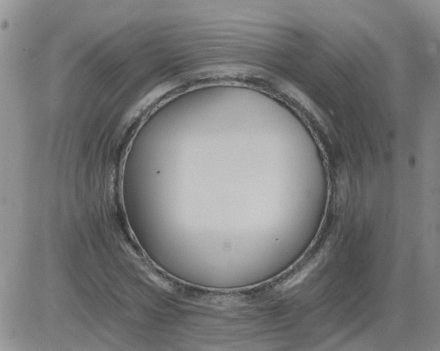 X0000084010778200703022030