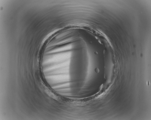 X0000084010779200703022030