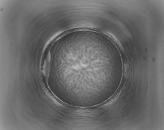 X0000084010780200703022030