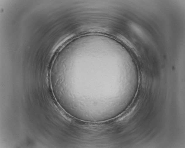 X0000084010782200703022030