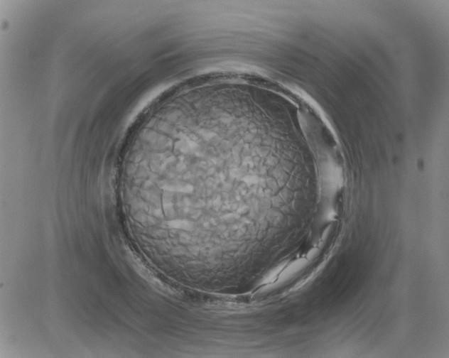 X0000084010783200703022030