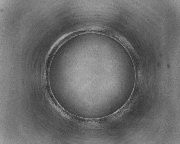 X0000084010784200703022030