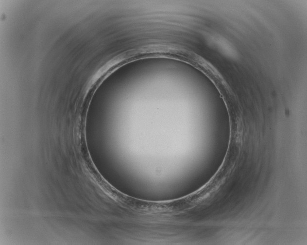 X0000084010786200703022030