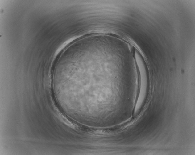 X0000084010787200703022030