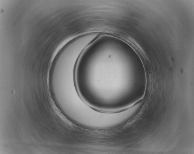 X0000084010788200703022030