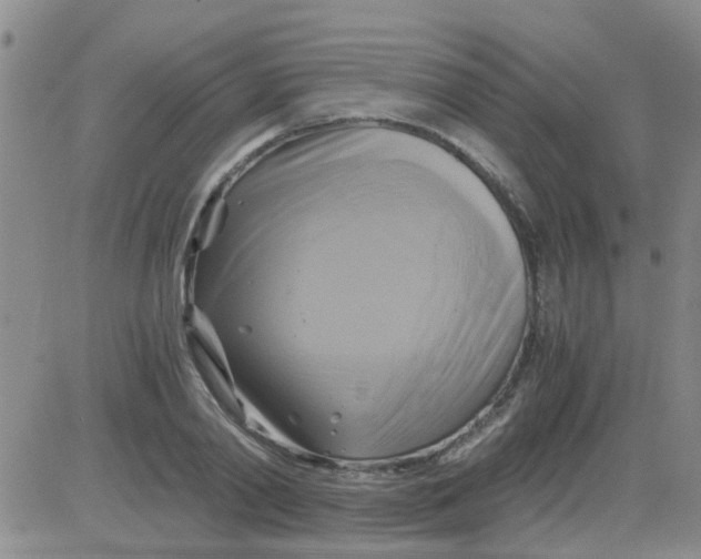 X0000084010790200703022030