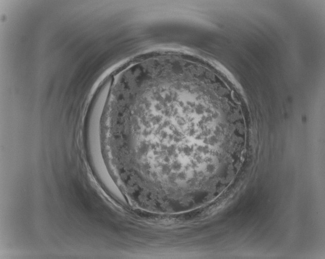 X0000084010791200703022030