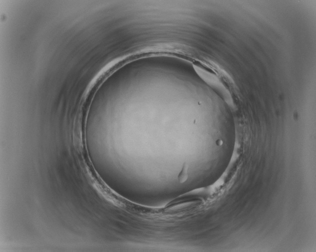 X0000084010792200703022030