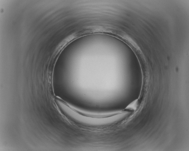 X0000084010793200703022030