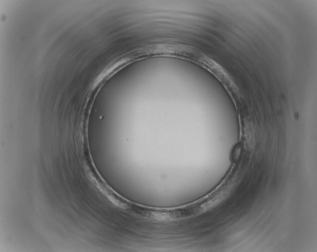 X0000084010794200703022030