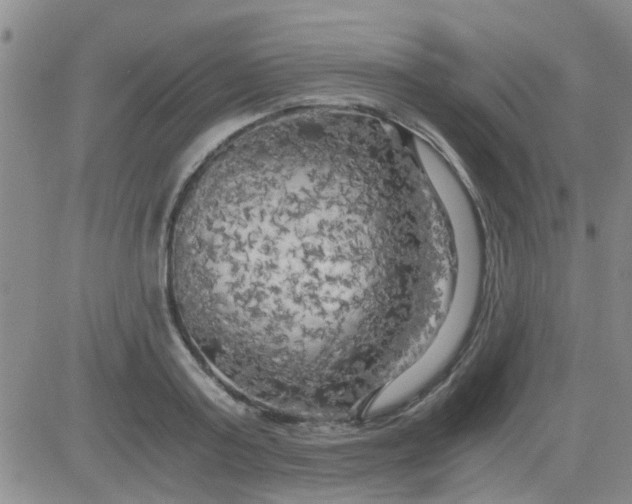 X0000084010795200703022030