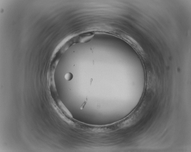 X0000084010796200703022030