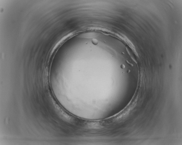 X0000084010798200703022030