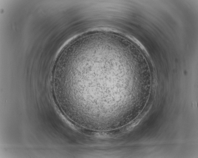 X0000084010799200703022030