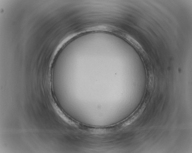 X0000084010800200703022030