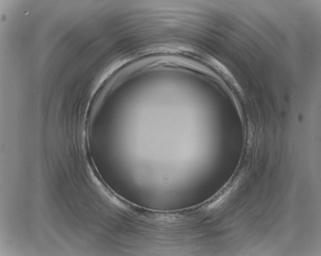 X0000084010802200703022030