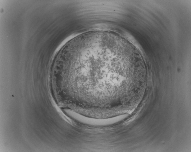 X0000084010803200703022030