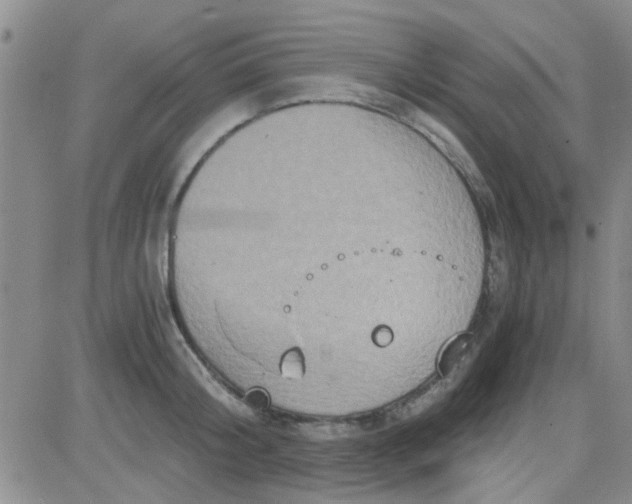 X0000084010804200703022030