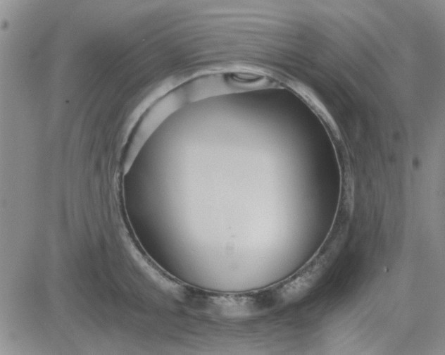 X0000084010805200703022030