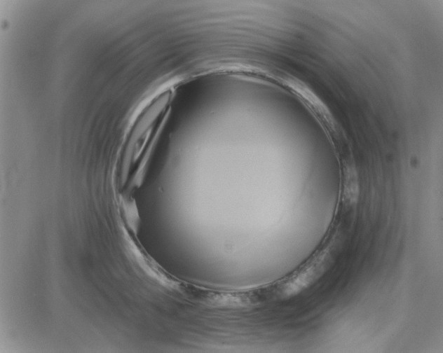 X0000084010806200703022030