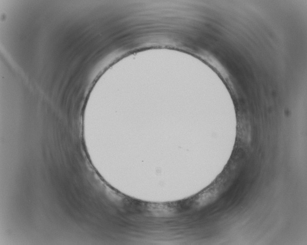 X0000084010807200703022030