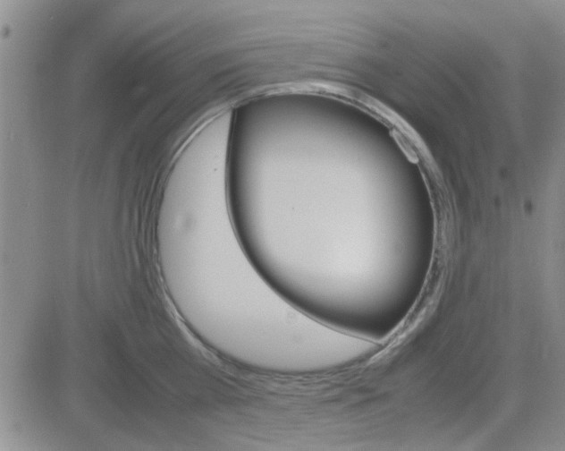 X0000084010809200703022029