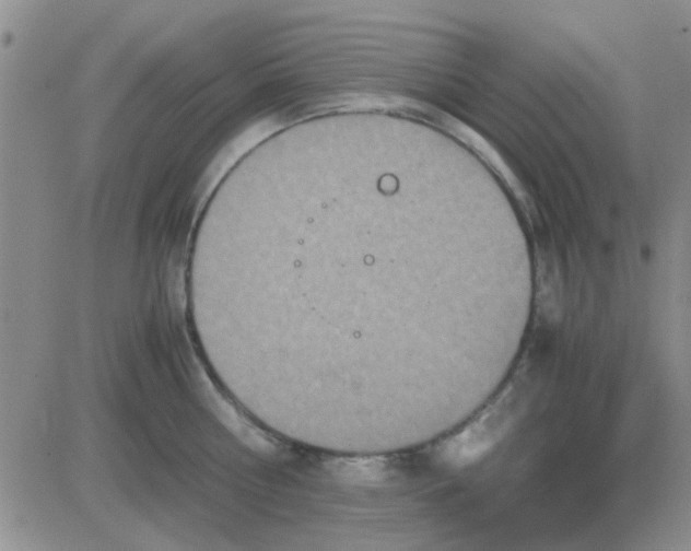 X0000084010810200703022029