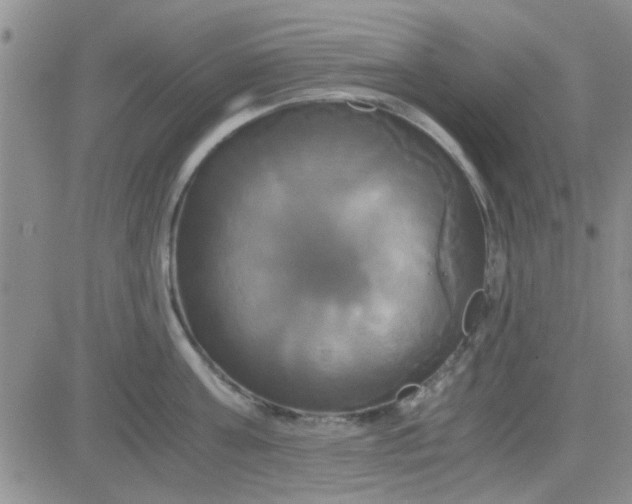 X0000084010811200703022029