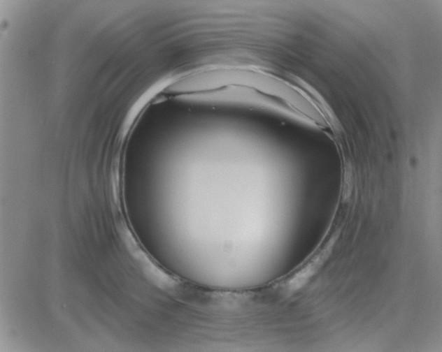 X0000084010812200703022029