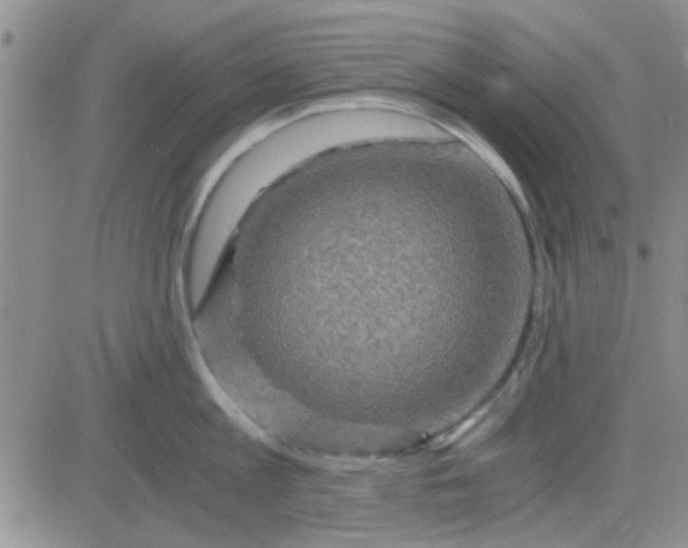 X0000084010813200703022029