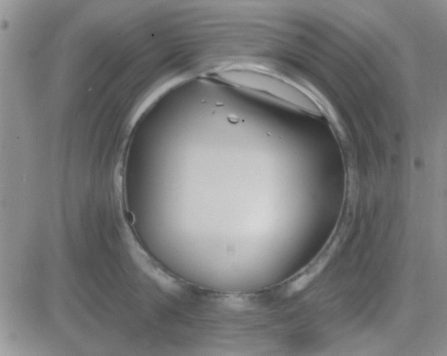 X0000084010814200703022029