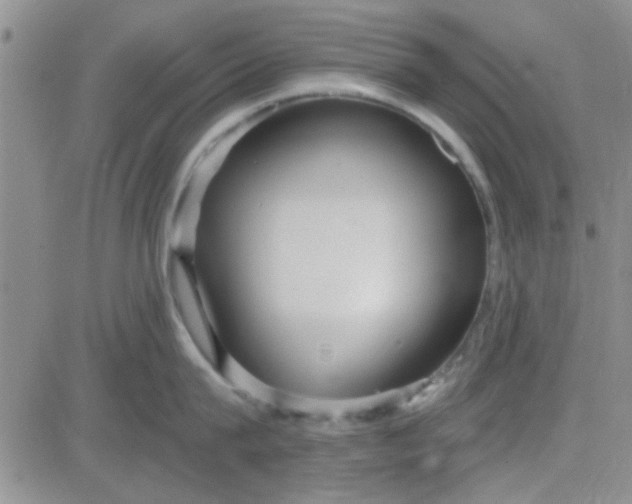 X0000084010815200703022029