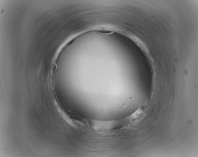 X0000084010816200703022029