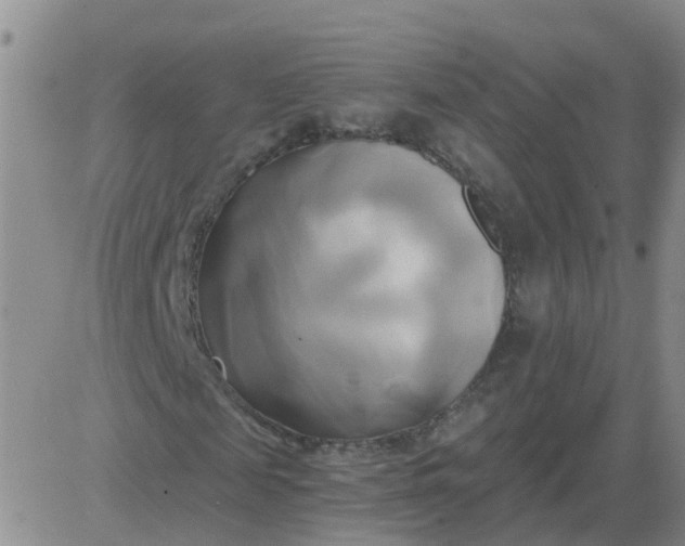 X0000084010817200703022029