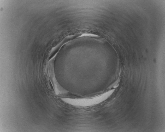 X0000084010818200703022029