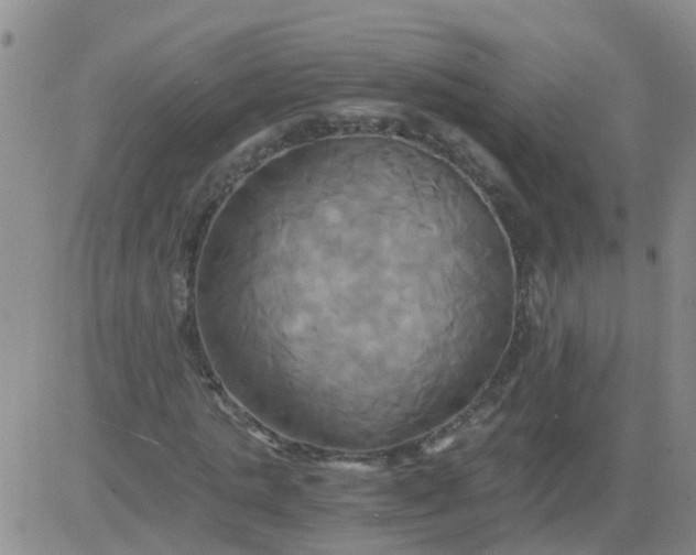 X0000084010821200703022029