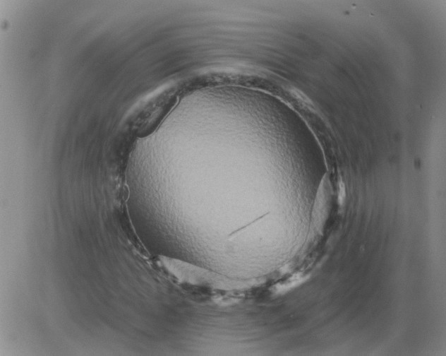 X0000084010822200703022029