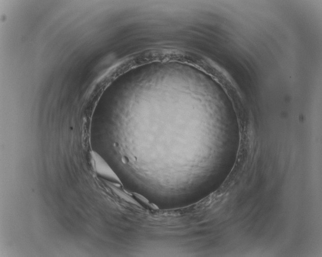 X0000084010823200703022029