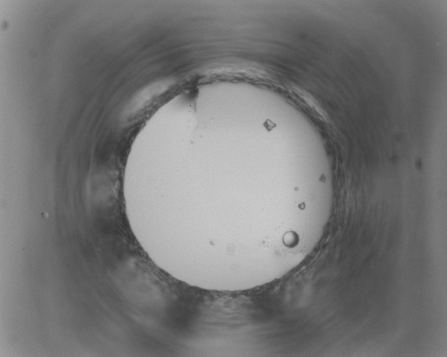 X0000084010824200703022029